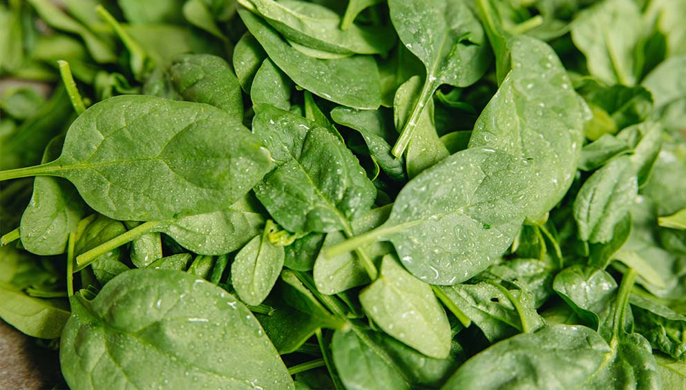 Spinach